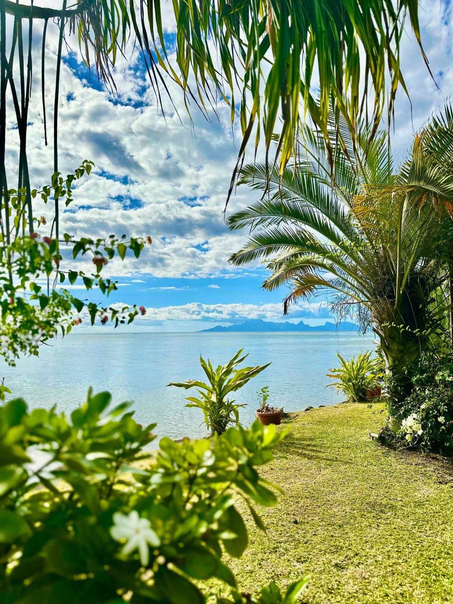 O'Coco Bungalow- Breathtaking Waterfront Views, Endless Memories Paea Экстерьер фото